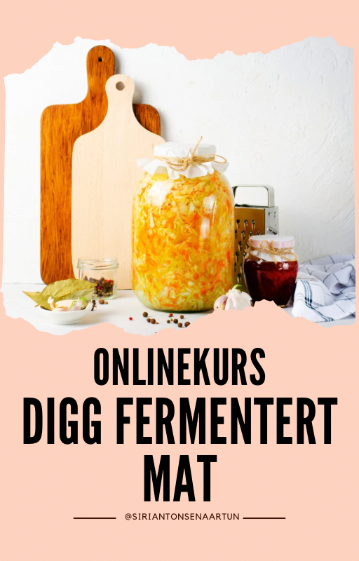 Onlinekurs - DIGG Fermentert Mat